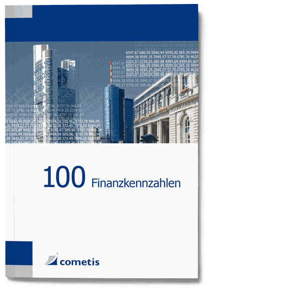 100 Finanzkennzahlen